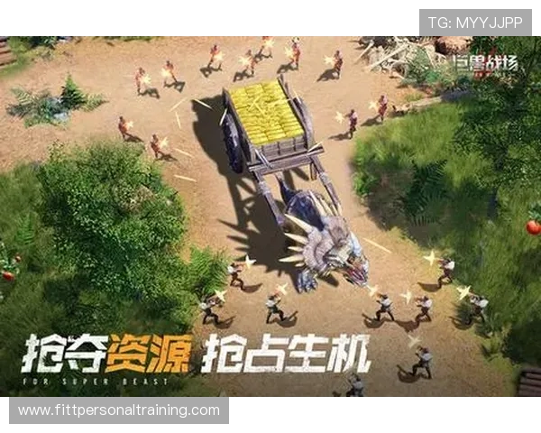 尊龙Z6中文站帮助玩家掌握高效升级技巧与装备获取方法